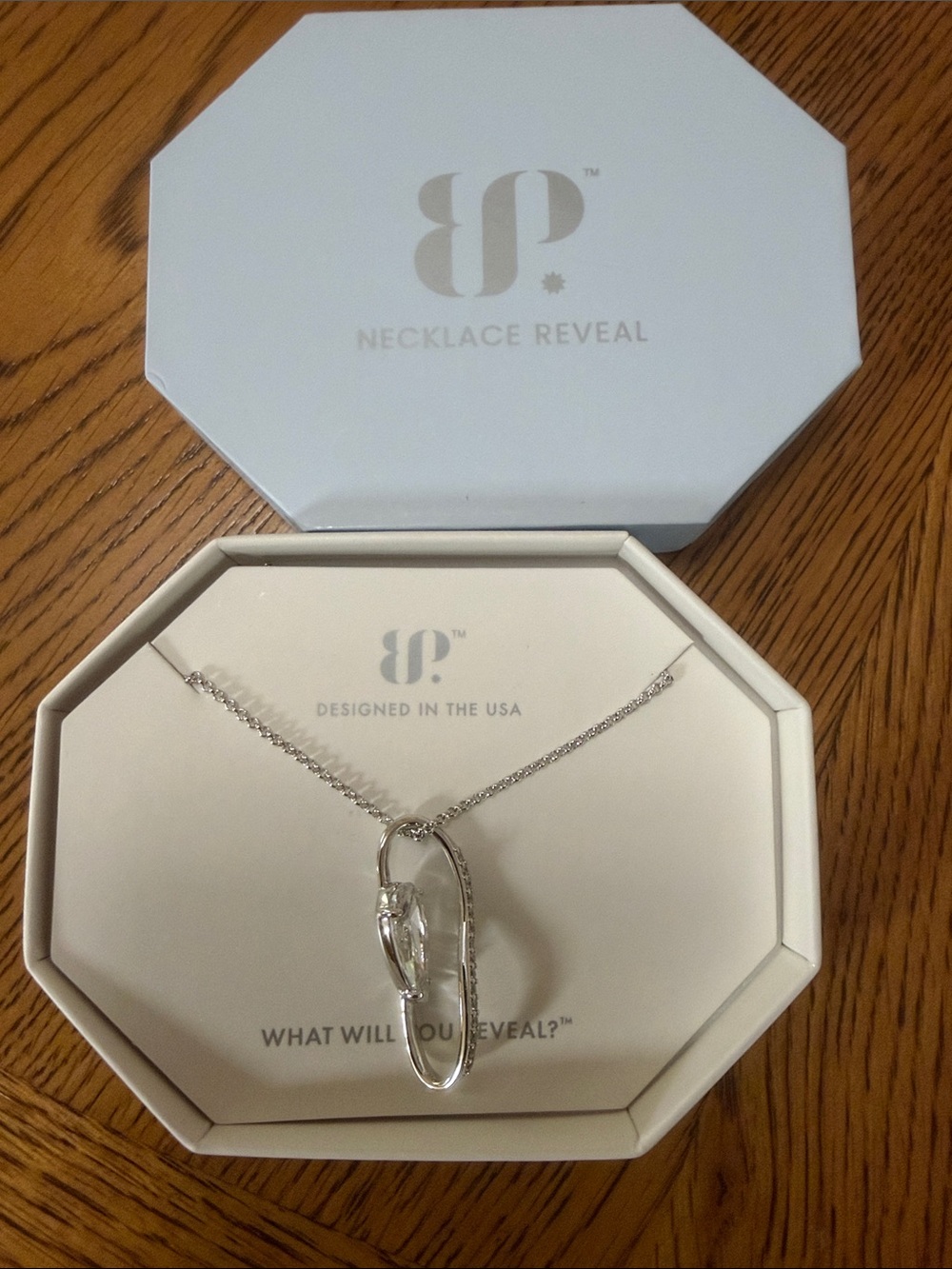 Necklace Reveal Silver Pendant Necklace
